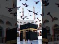 #islamic #kaba #modina #short video Kaba sharif picture short video