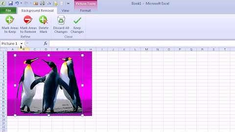 CFO Learning Pro - Excel Edition "Remove Background in a Picture"