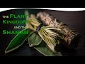 The Plant Kingdom and The Shaman | Billie Topa Tate’