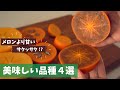 【生産者直伝】美味しい柿の品種4選！激甘、サクサク、とろ〜り。