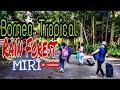 Borneo tropical rain forest resort team building