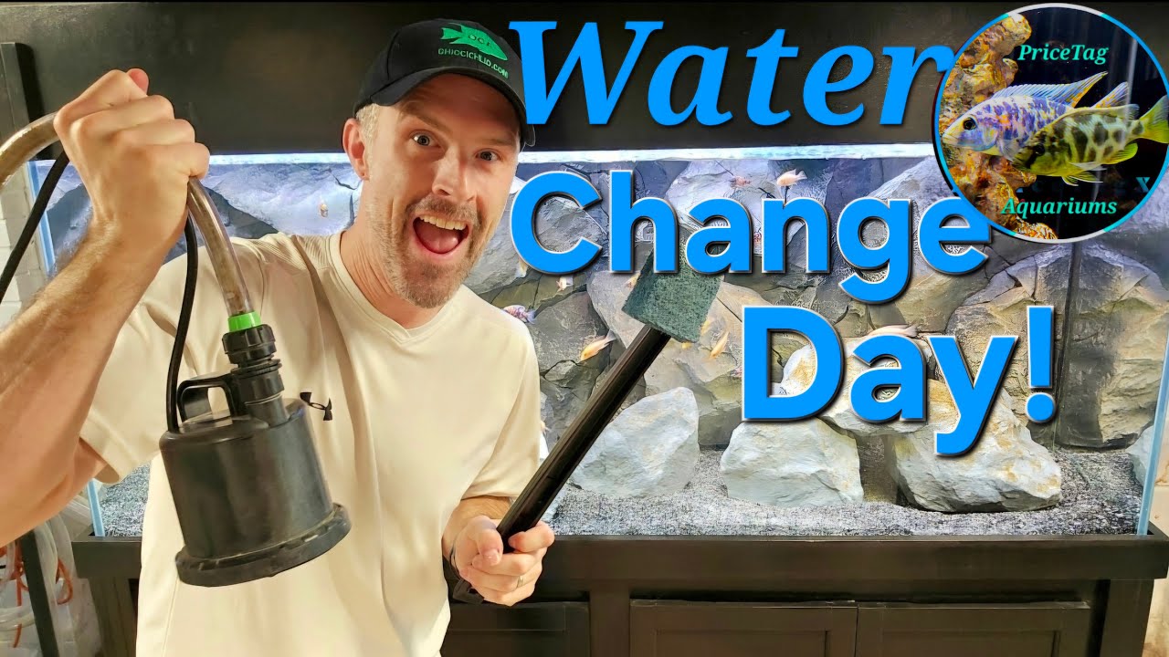 Aquarium Water Change and Fishroom Tour