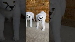 The two cheetahs are fully furred, trimmed . Ready for colour where they will come to life #artdoll