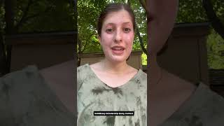 How The Solidessay Scholarship Essay Contest Boosted My Writing Confidence