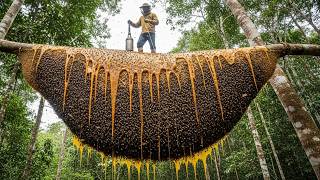 Perils Lurking for Honey Hunters in the Deep Forest