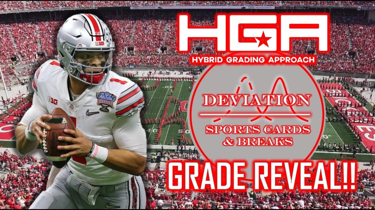 HGA Grade Reveal - FINALLY!  74 DAYS on a 30 DAY ORDER - Was it worth the extra wait?