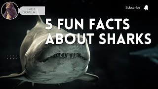 5 Interesting Things About Sharks