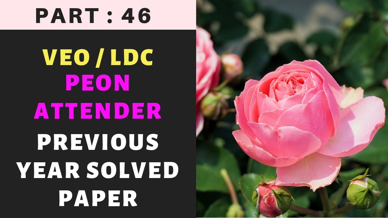 #46 | VEO Previous Year Solved Paper | Peon Solved Paper | LDC | Easy PSC | Kerala PSC |