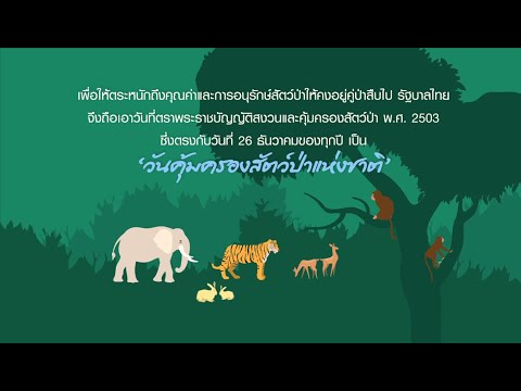 26 ธันวาคม ‘วันคุ้มครองสัตว์ป่าแห่งชาติ’