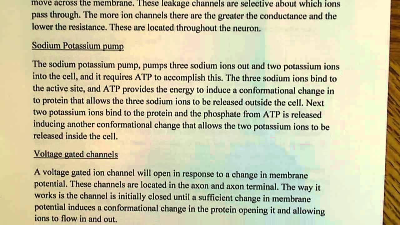 Introduction to ion channels