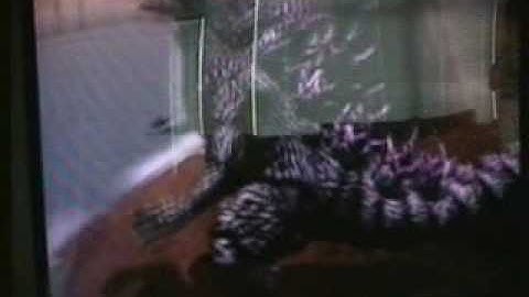 Godzilla Unleashed opening scene (PS2)