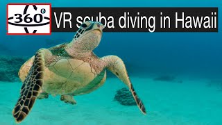 360 VR  scuba diving in Hawaii whit @HawaiiDiveCenter