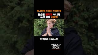 [매건픽] 노란 가루 | 송화가루 습격 | 알레르기 비상 🚨