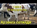 Мана сизга Махсус видео арзон киммат мол бозори