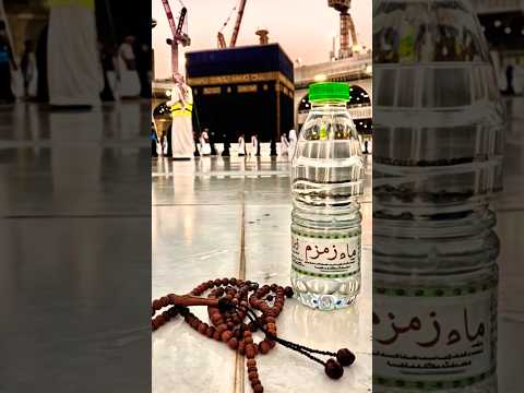 سورة الإخلاص Ikhlas Islamicvideo Beautiful المصحف