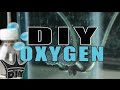 HOW TO: $2 DIY Aquarium oxygen TUTORIAL