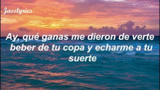 Marco Antonio Solís - Qué Ganas De Verte (Letra/Lyrics)