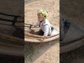 #nora#vayyu