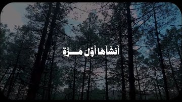 وَضَرَبَ لَنَا مَثَلًا وَنَسِيَ خَلْقَهُ - من سورة يس - القارئ احمد بن طالب