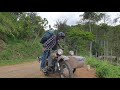 SOLO RIDING WITH MY MOTORCYCLE URAL SIDECAR - COOKING SMOKED CHIKEN ON A ROCK