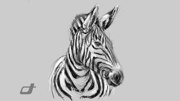Digital Art Showcase: Creating a Zebra Drawing on iPad with Procreate