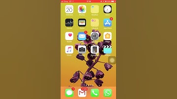 How to use Native QR code from Camera application in iOS11