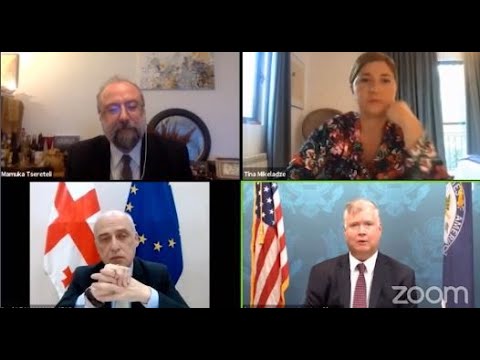 ოქტომბრის საპარლამენტო არჩევნები კრიტიკული ნაბიჯი იქნება - სტივენ ბიგანი ონლაინ კონფერენციაზე