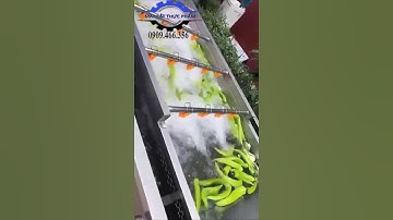 MÁY RỬA RAU CỦ QUẢ TỰ ĐỘNG, DÂY CHUYỀN RỬA RAU CỦ TRÁI CÂY CÔNG NGHIỆP