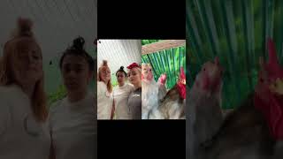 Thumbnail for Chucks in the club like • choreo by @Ilgallinaio_special_ Malia + Kristi