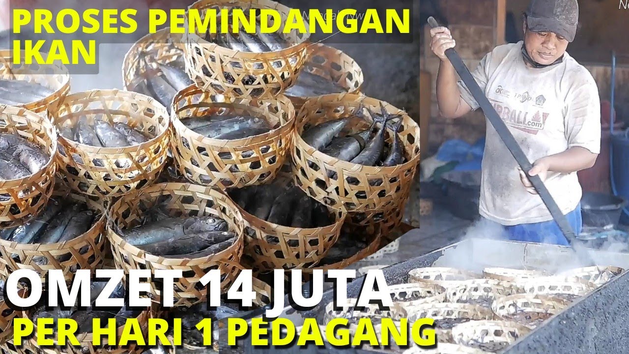 PROSES PEMINDANGAN IKAN - OMZET BISA 14 JUTA PER HARI UTK 1 PEDAGANG
