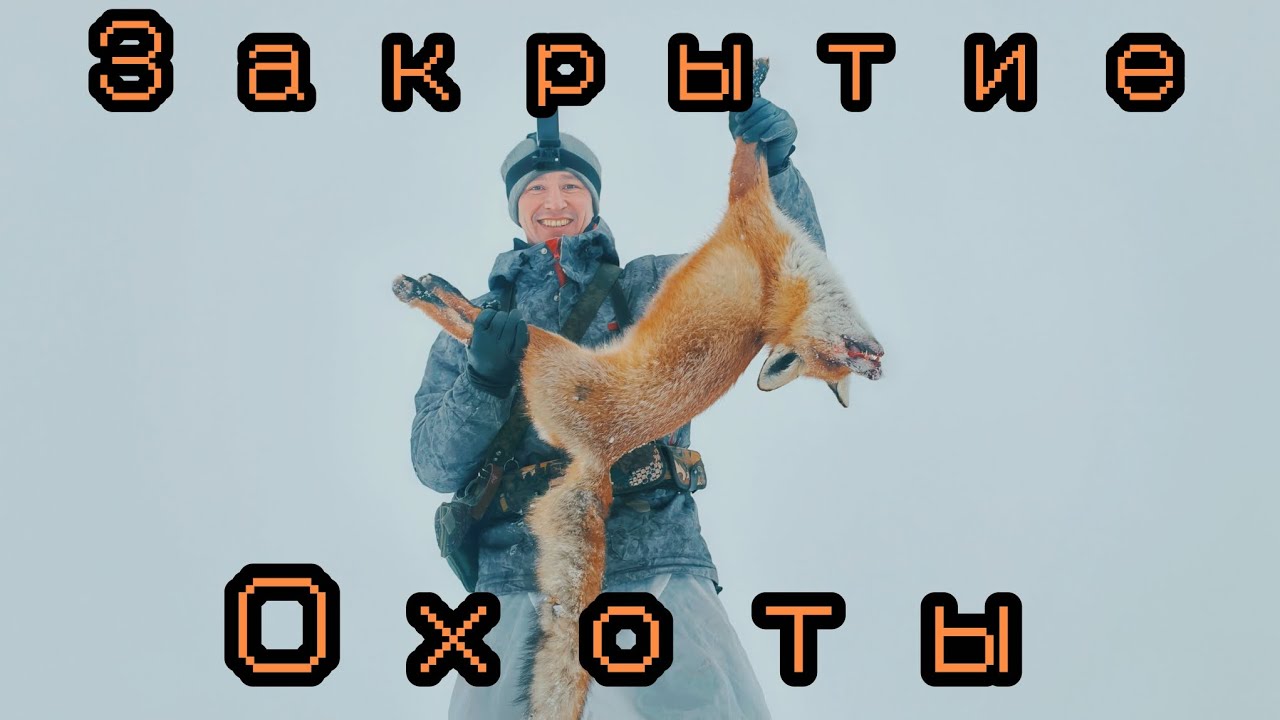 262-Закрытие ОХОТЫ на зайца, лису. (28.02.2026)