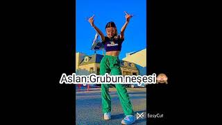 Arkadaş Grubunda Burçlarçlar