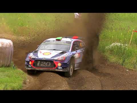 Welcome to WRC with Shell and Hyundai Motorsport