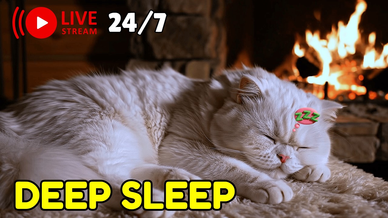 Music for Cats to Calm Anxiety 🐱 Relaxing Cat Sleep Music Live 24/7