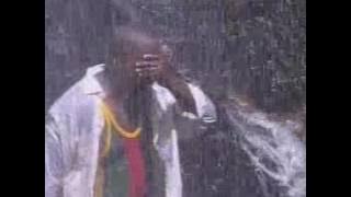Strength | Buchi |  Video