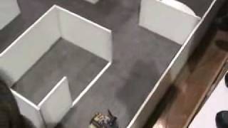 FlameOut - Firefighting Robot @ RoboGames 2005 - Run #1