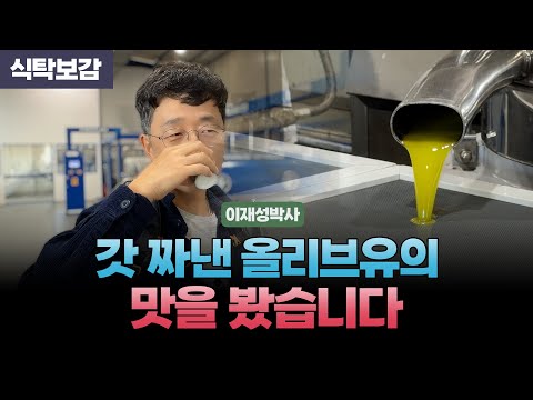 I tasted olive oil fresh from the mill