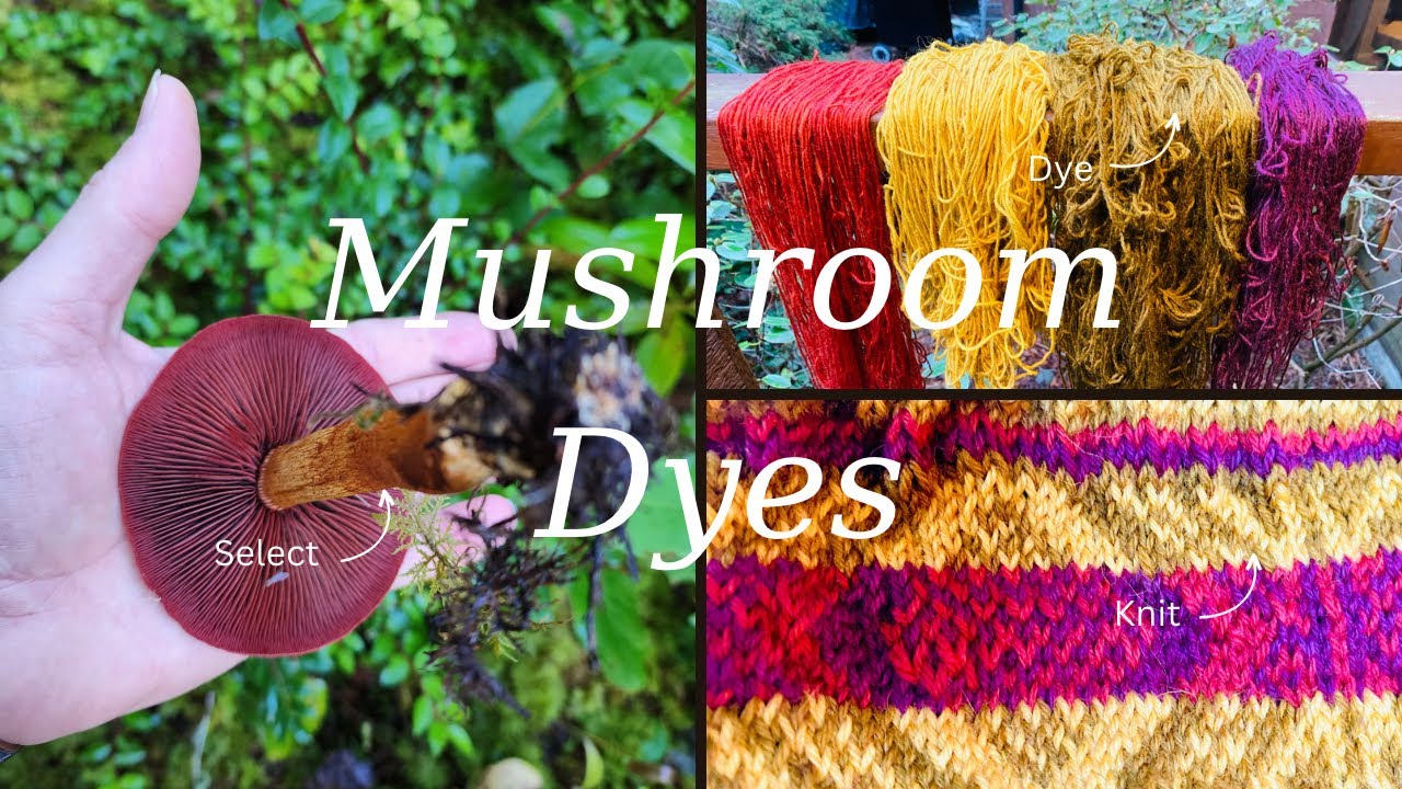 How to Use Mushroom Dyes in Your Fiber Projects @WildcraftDyeing - YouTube