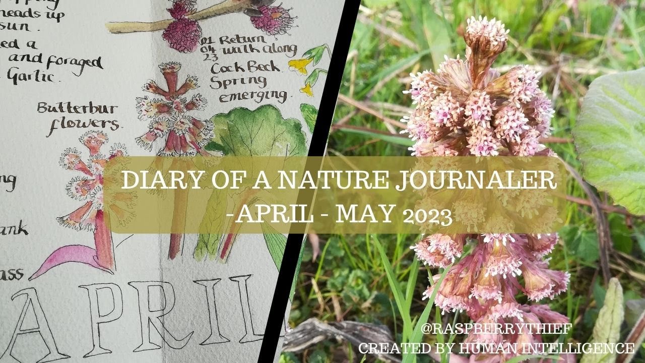 Diary of a Nature Journaler - April - May 2023. Nature journaling the small changes in the seasons.