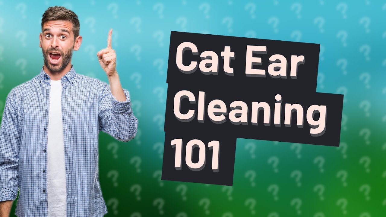 Should I Wash My Cat s Ears YouTube what-can-i-wash-my-cat-with-youtube