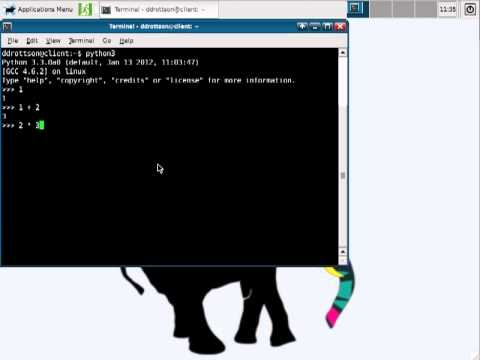 python3-interp