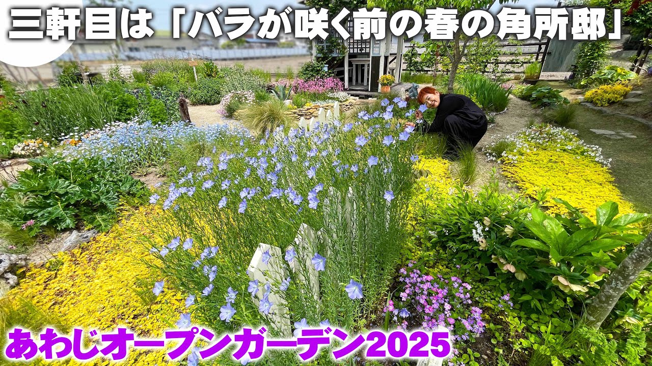 Awaji Open Garden 2025] 3. A flower field turns into a stylish