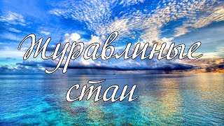 Журавлиные стаи соло А. И. Матвейчук