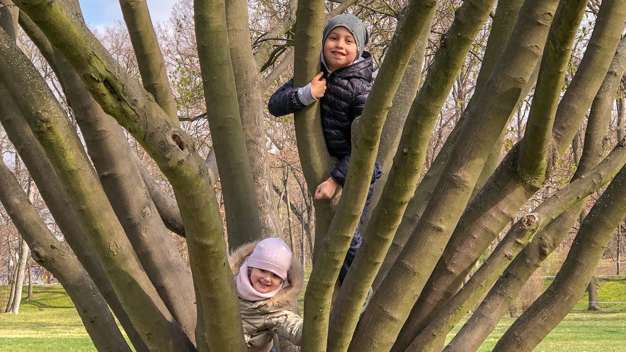 Стромовка в Праге - прогулка по большому парку. Кормим уток и лебедей