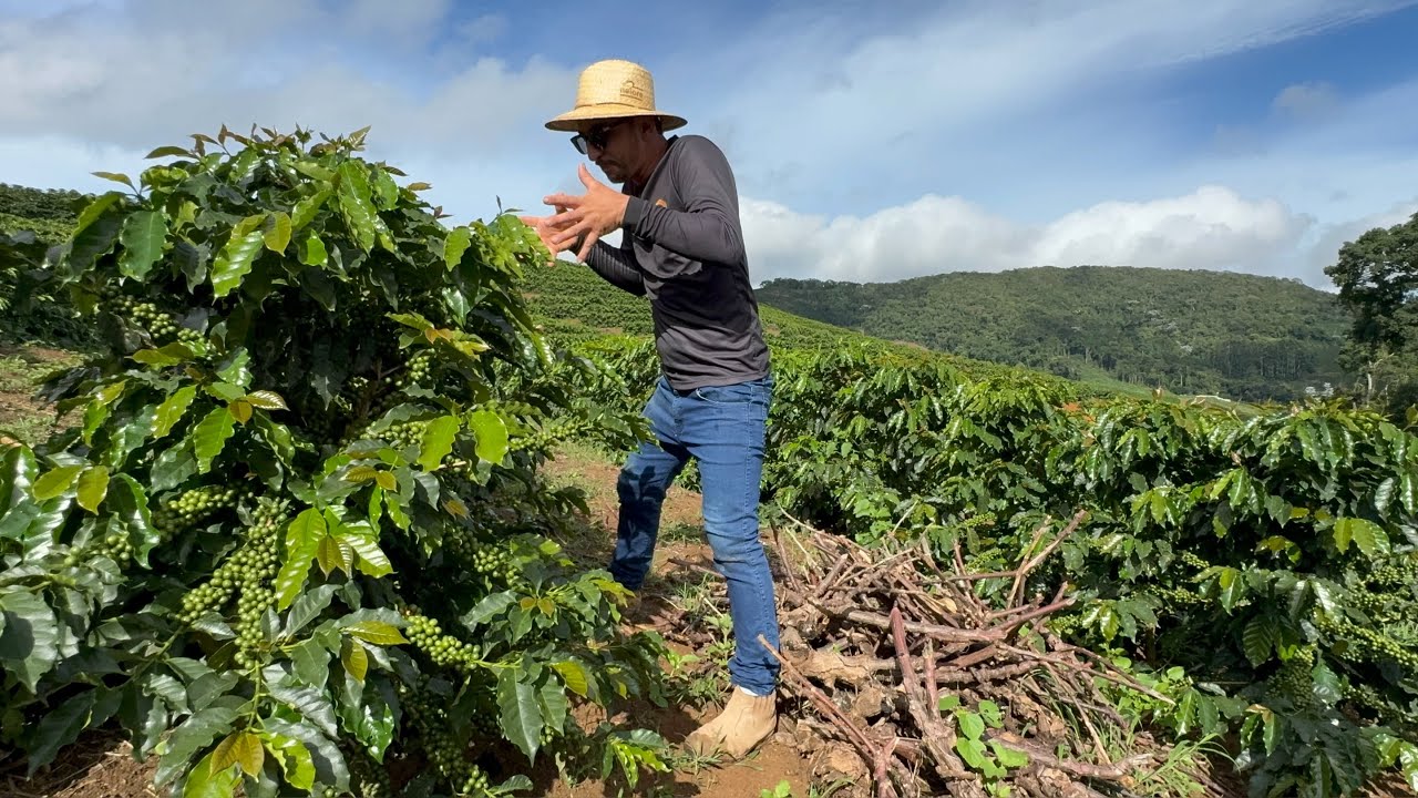Fui surpreendido com essa lavoura 