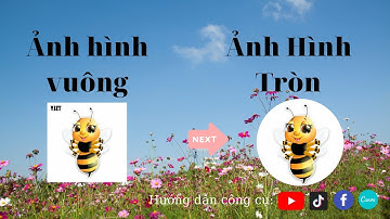 Dùng picsart để cắt ảnh thành hình tròn || Nguyễn Trọng Bắc