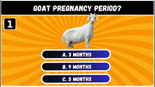 Goat related Quizzes | Goat Trivia