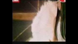 Download lagu djoker-ijinkan aku mencintaimu