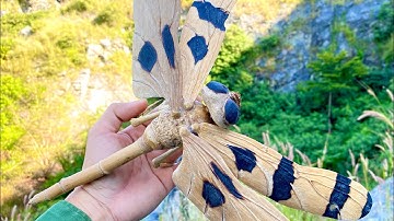 Hướng dẫn làm con chuồn chuồn tre. Instructions for making a dragonfly out of bamboo