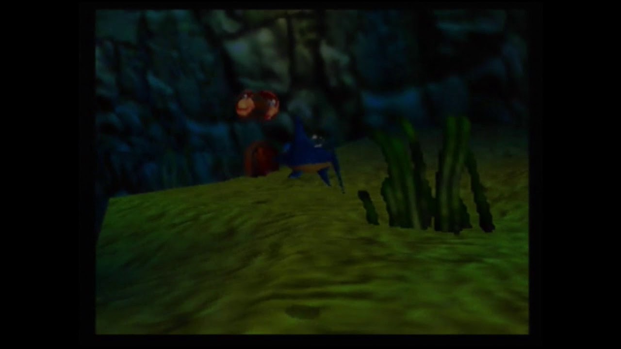 Donkey Kong 64 Becoming Enguarde